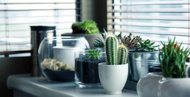 Como limpiar las plantas artificiales