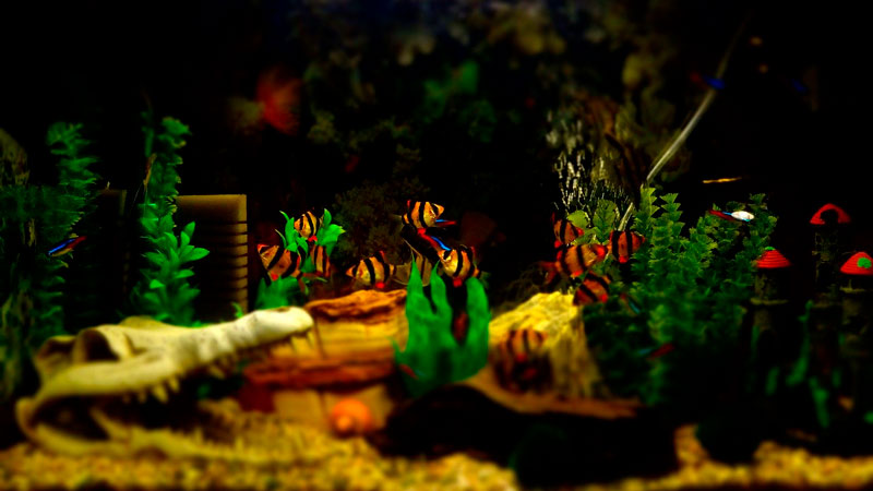 Plantas artificiales para acuario