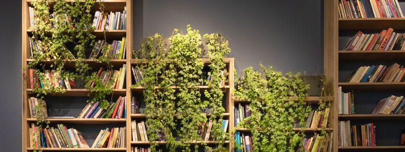 plantas colgantes artificiales